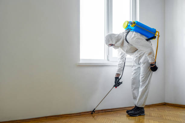 Professional Pest Control in La Conner, WA